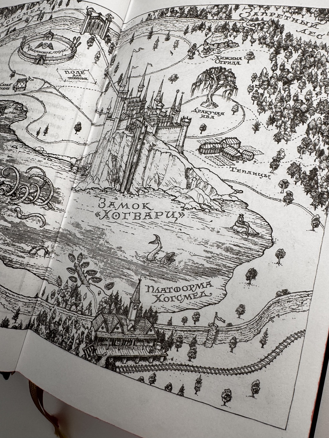 Книга Махаон Роулинг Дж.К. Гарри Поттер и Орден Феникса (Гриффиндор) - фото 8