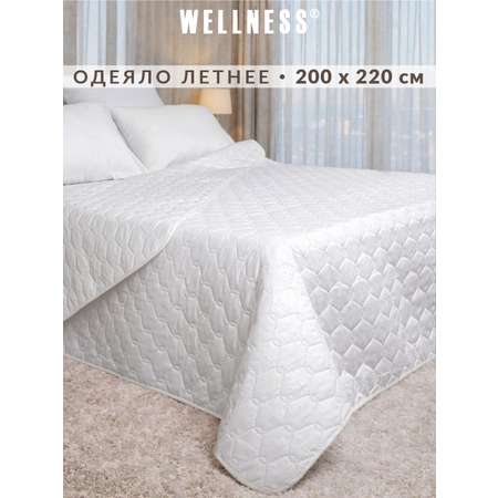 Одеяло Wellness летнее 200 x 220 см