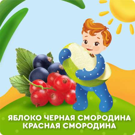 Пюре Агуша Черная смородина-красная смородина с 5 мес 100 г