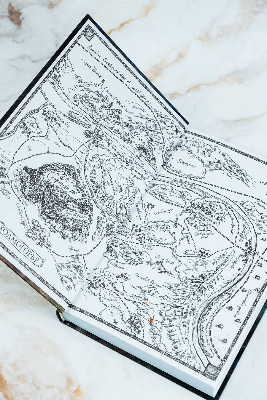 Книги АСТ Квендель. Книга 1. Сумрачный лес - фото 4