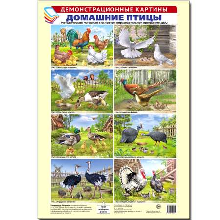 Плакат ТЦ Сфера