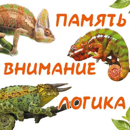 Набор Солнышко Арт развитие логики-внимания-памяти раскраска и домино Хамелеоны