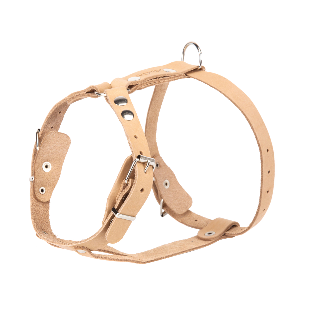 Шлейка для собак Arkon 45-64см 13588 - фото 1