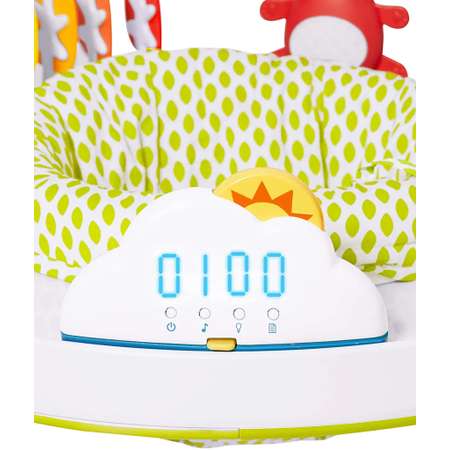 Прыгунки Skip Hop развивающий центр