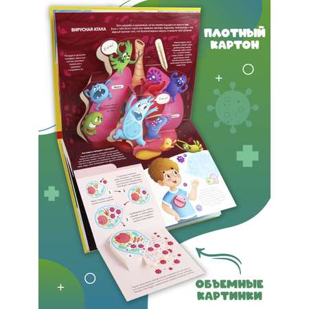 Книги энциклопедия с объемными картинка Malamalama Вирусы и бактерии. Анатомия для детей