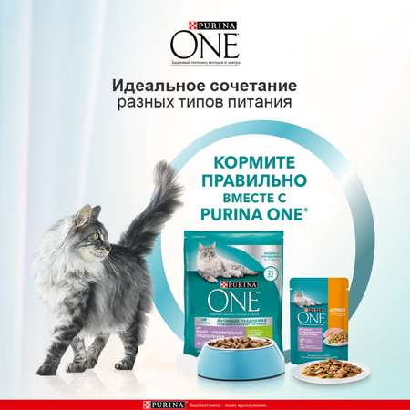 Корм для кошек Purina One при чувствительном пищеварении индейка-рис 750г