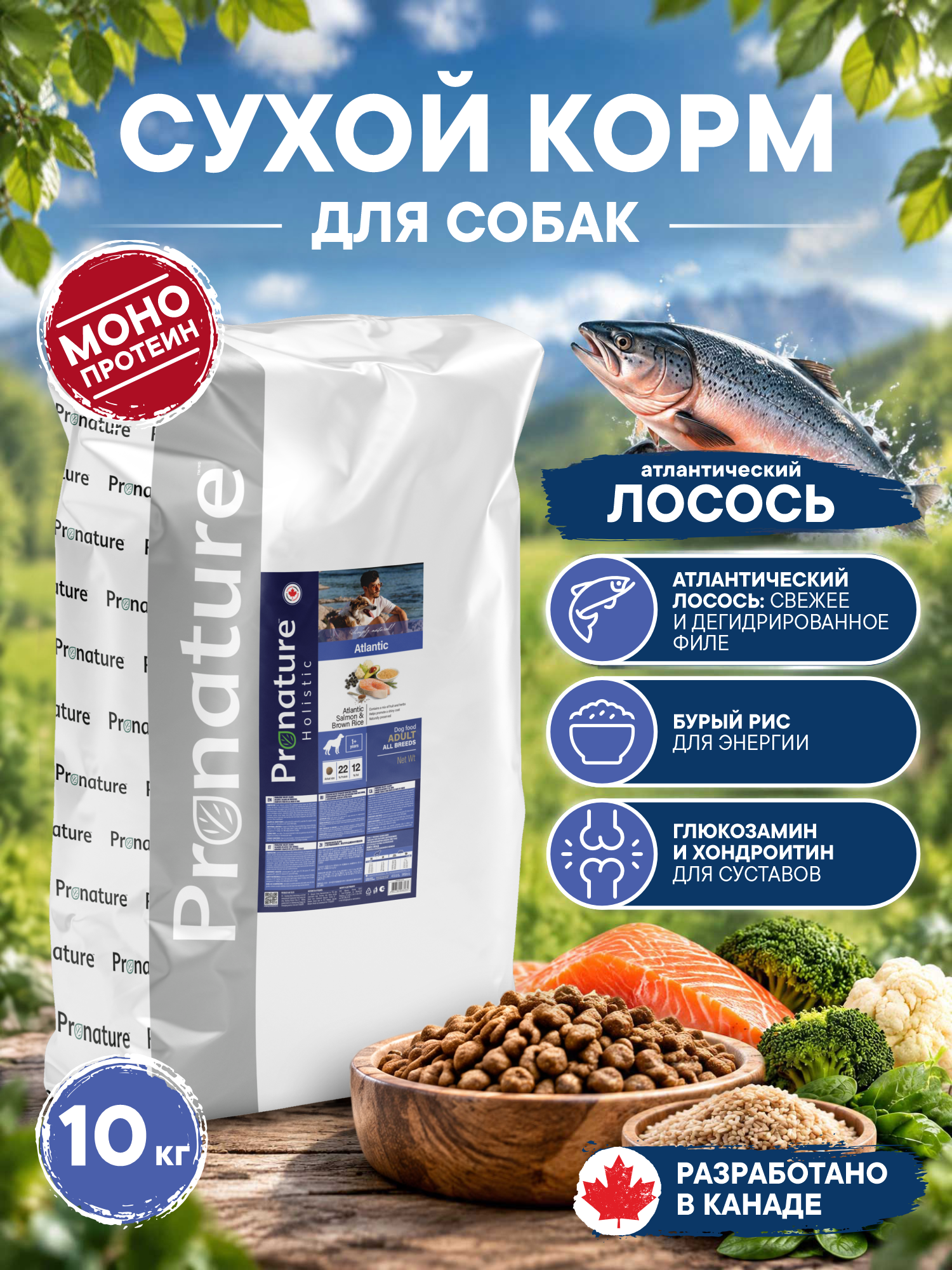 Корм для собак сухой Pronature Holistic Atlantic для кожи и шерсти на лососе с рисом 10кг - фото 1