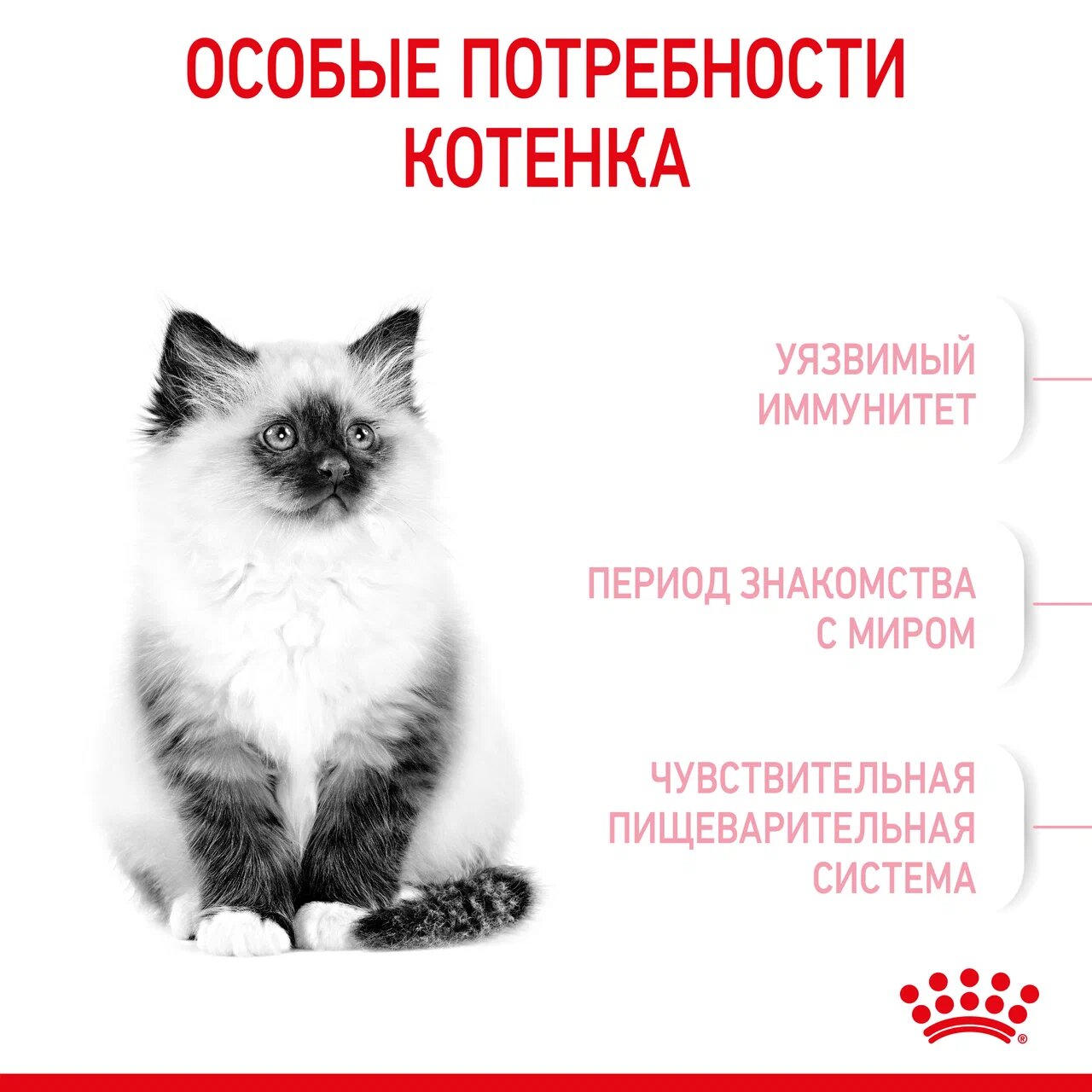 Корм для стерилизованных котят Royal Canin Kitten Sterilised сухой 300+150г - фото 7