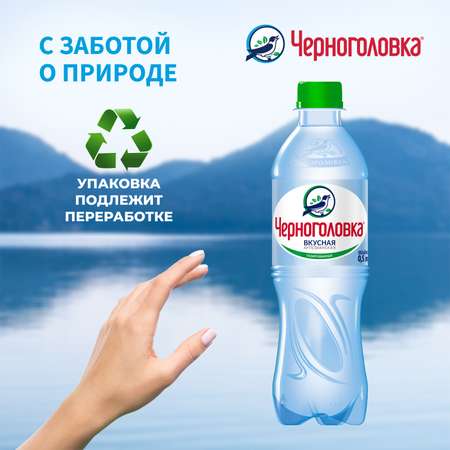 Вода минеральная Черноголовка газировання 0.5л
