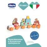 Игрушка Chicco сортер