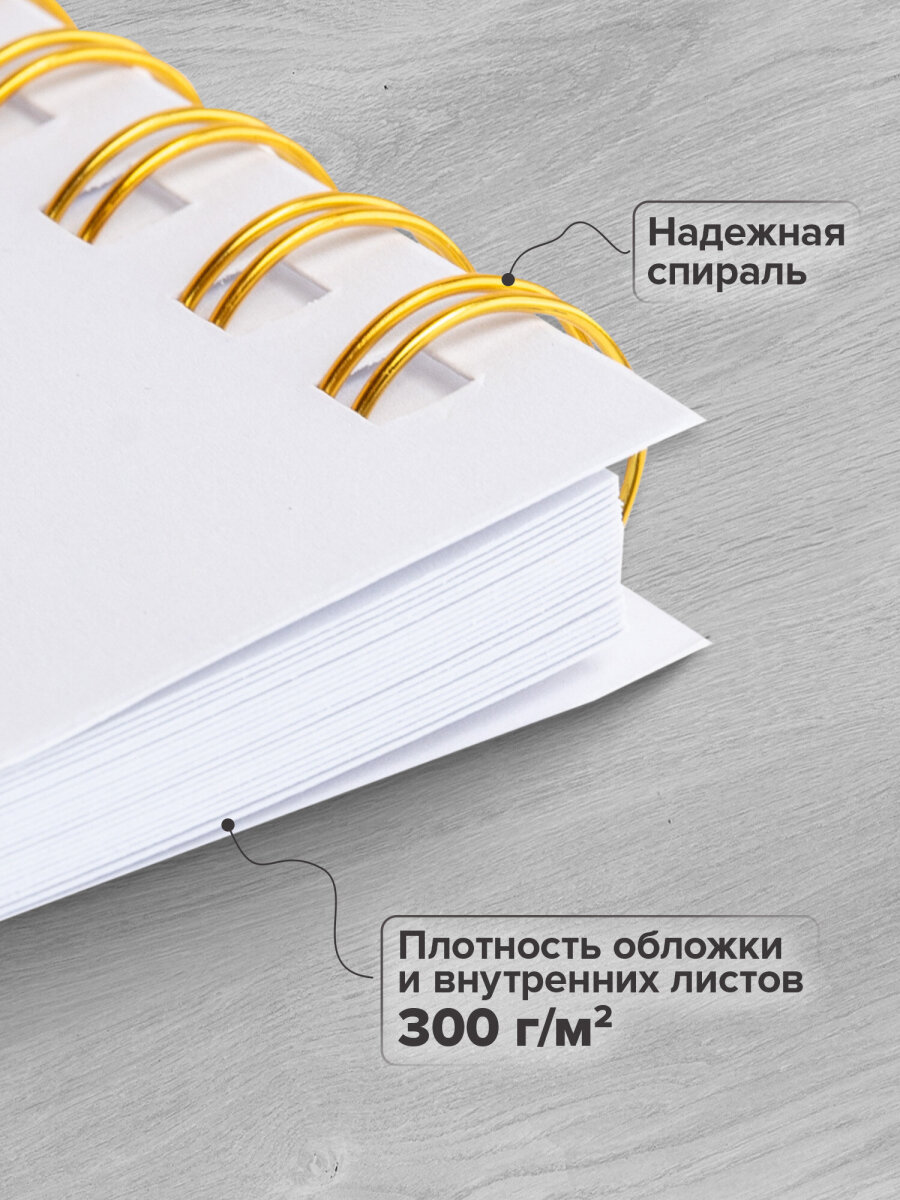 Фотоальбом семейный Brauberg для фото с 20 белыми листами - фото 4