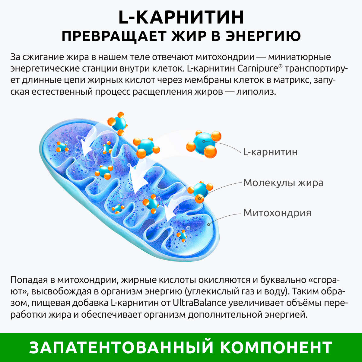 Л-карнитин жиросжигатель UltraBalance бад для похудения и снижения веса витамины для женщин и мужчин 270 капсул - фото 5