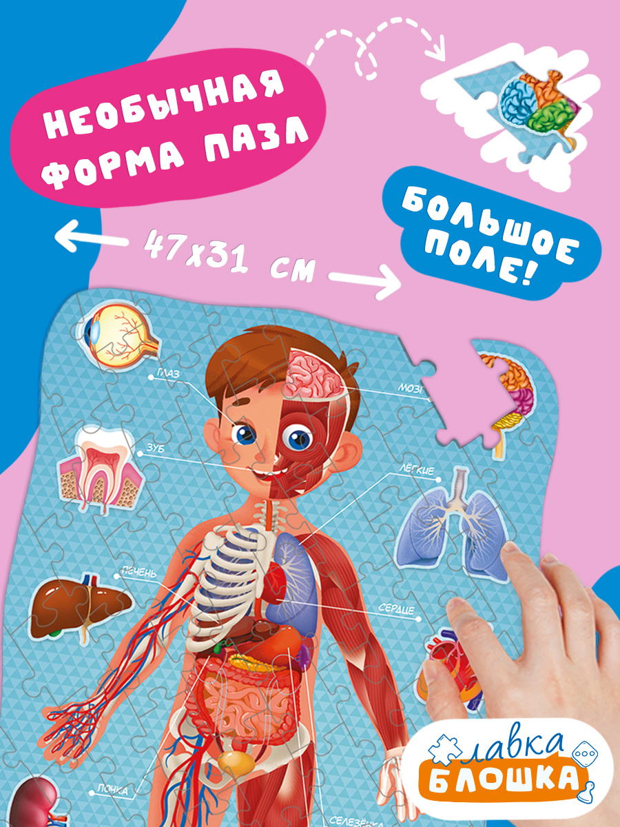 Пазл ГЕОДОМ - фото 5