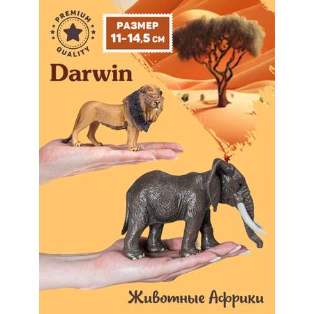 Игровой набор DARWIN Животные Африки 5 шт