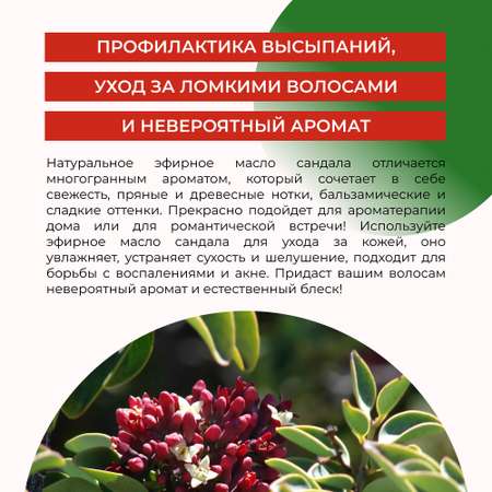 Масло Siberina