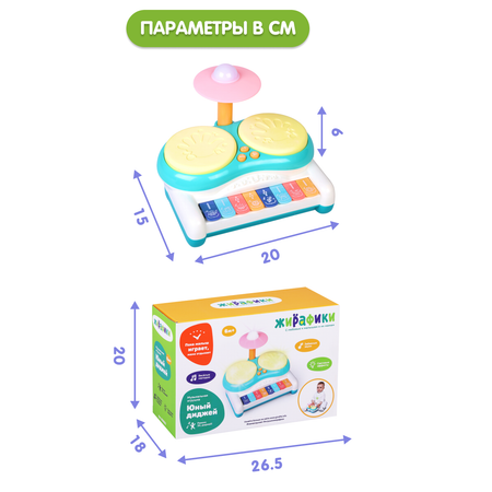 Игрушка Жирафики развивающий центр