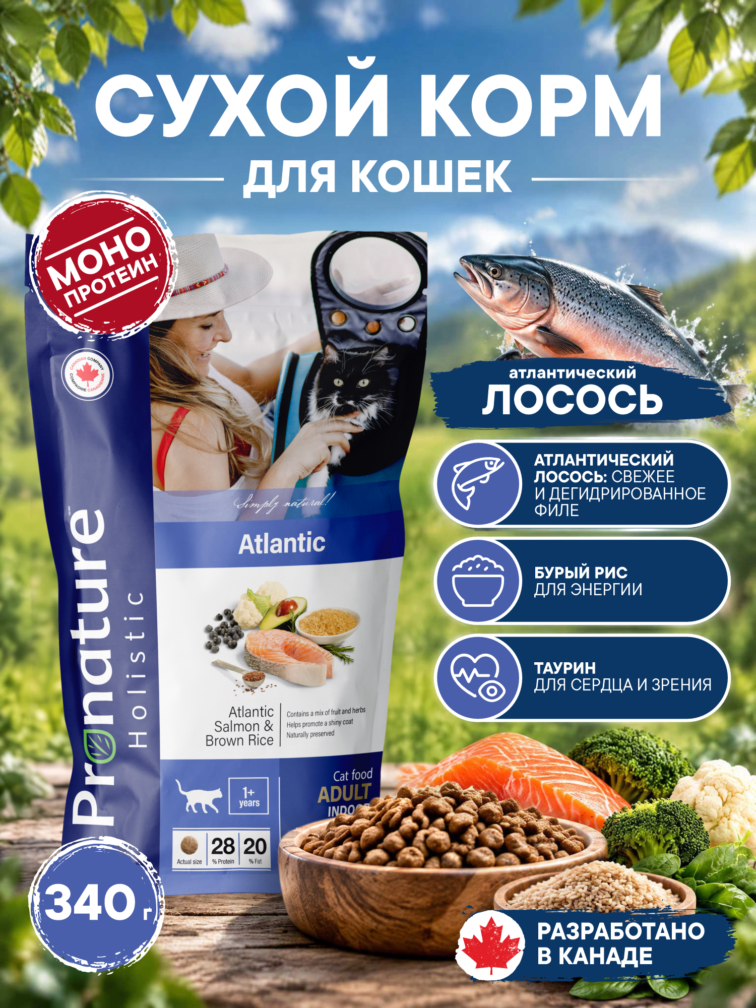 Корм для кошек сухой Pronature Holistic Atlantic для кожи и шерсти на лососе с рисом 340г - фото 1