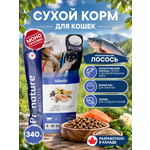 Корм для кошек сухой Pronature Holistic Atlantic для кожи и шерсти на лососе с рисом 340г