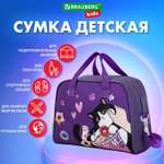 Сумка Brauberg