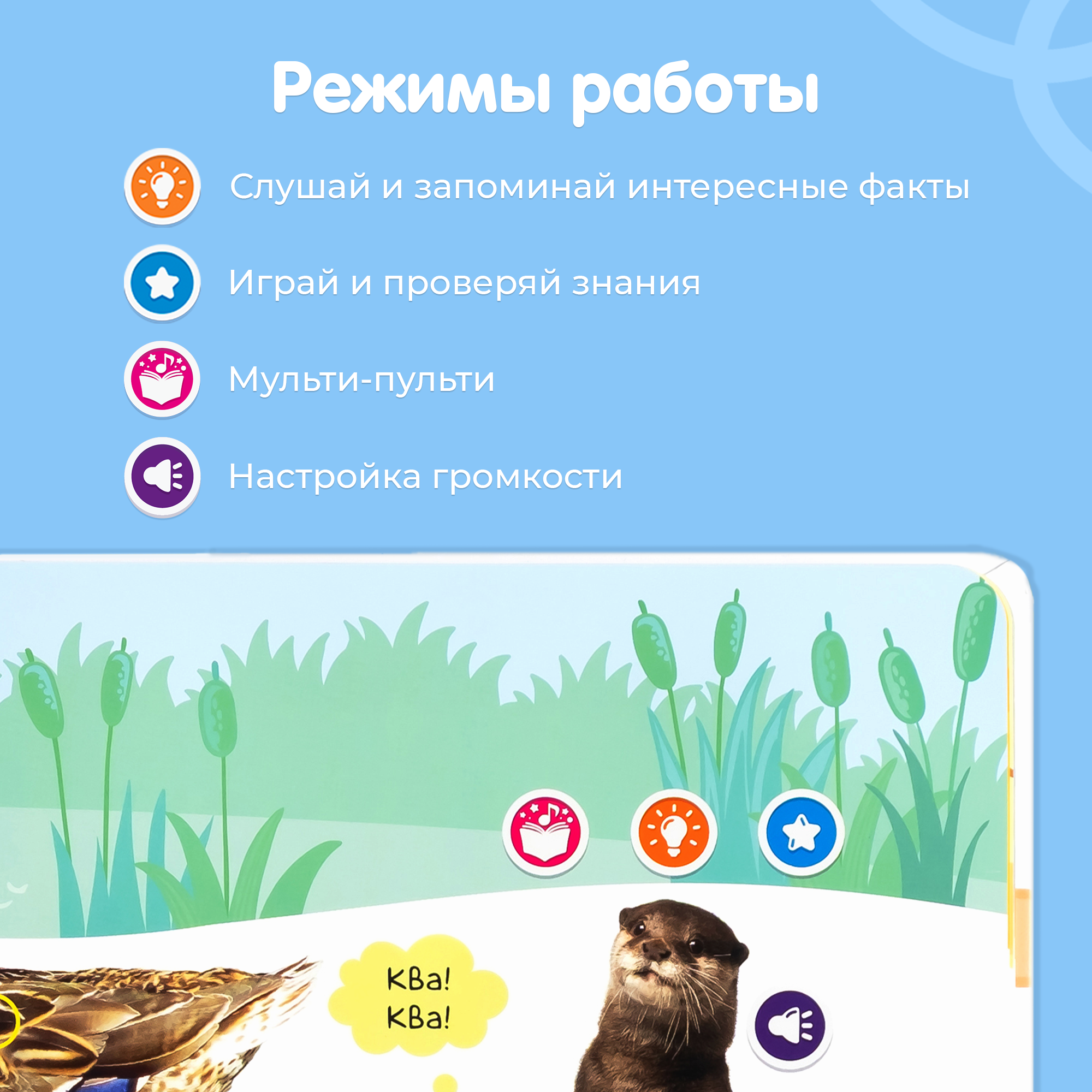 Говорящая книга Нажималка BertToys Транспорт + Животные большая - фото 5