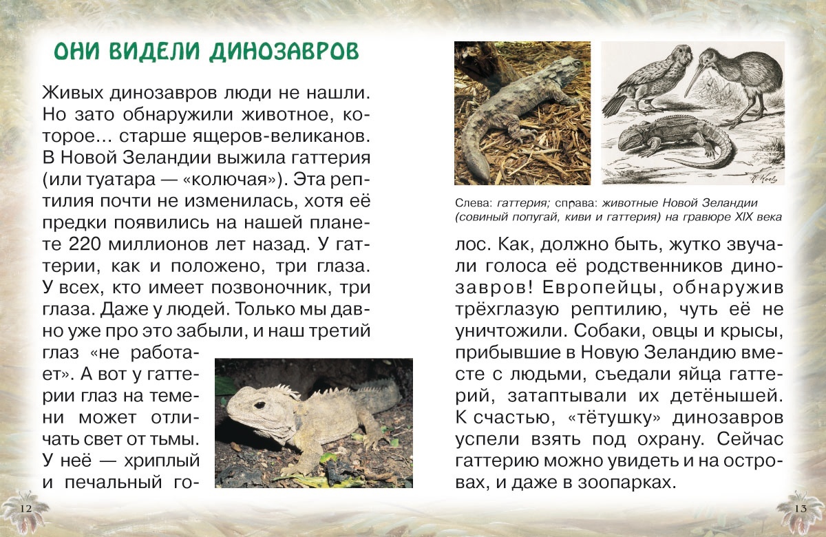 Книга Белый город Животные Земли: прошлое и будущее - фото 4