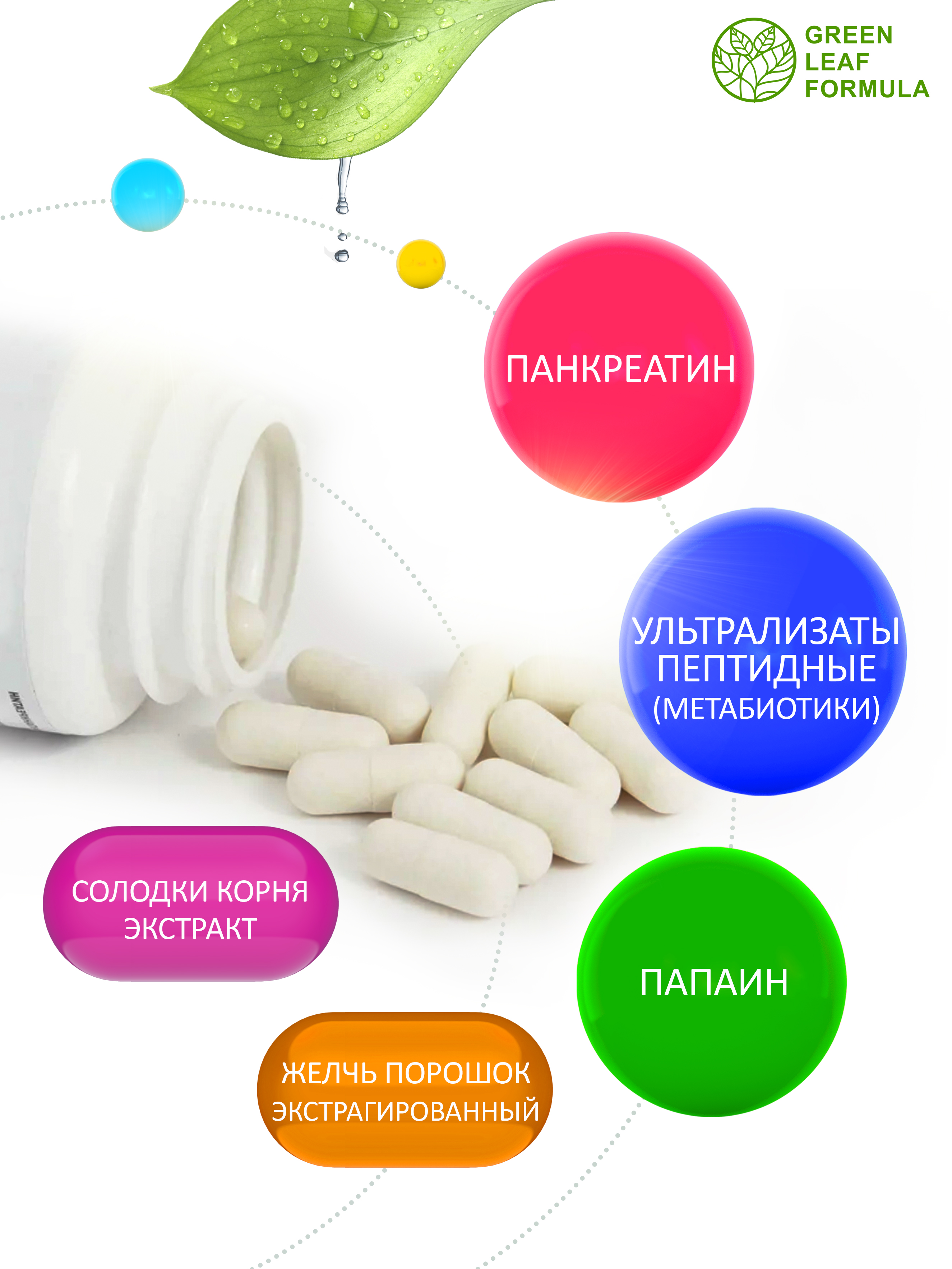 Панкреатин с метабиотиками Green Leaf Formula ферменты для пищеварения для микрофлоры кишечника - фото 3