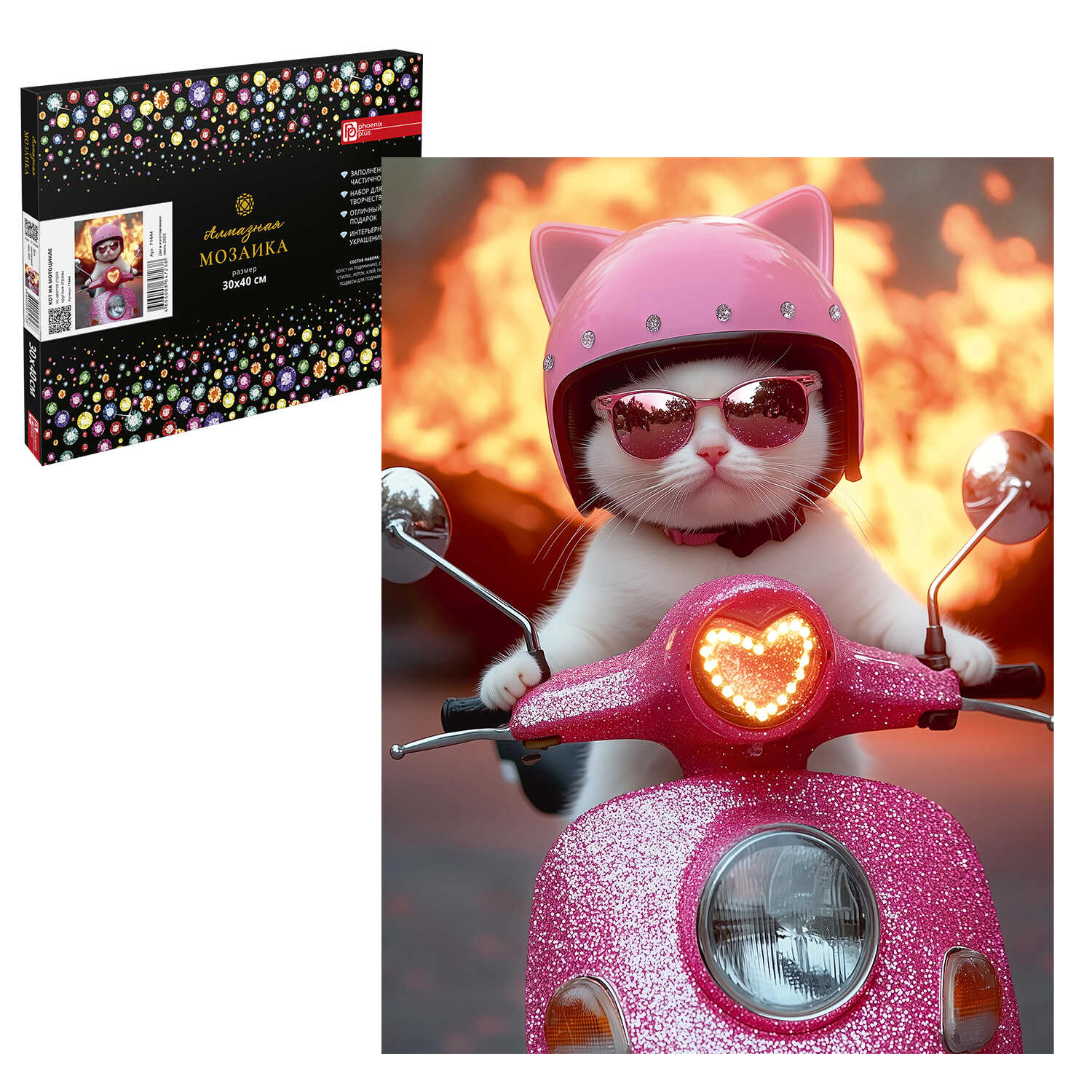 Алмазная мозаика Феникс + Кот на мопеде - фото 1