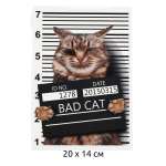 Термотрансфер TBY Bad Cat 20х14см 10шт