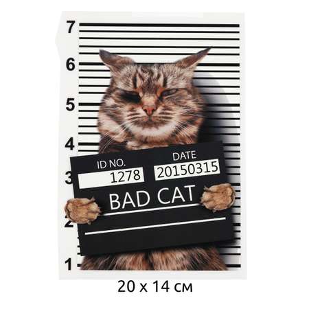 Термотрансфер TBY Bad Cat 20х14см 10шт