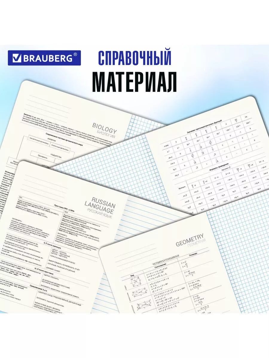 Тетрадь Brauberg 48 лист. 12 шт. - фото 4