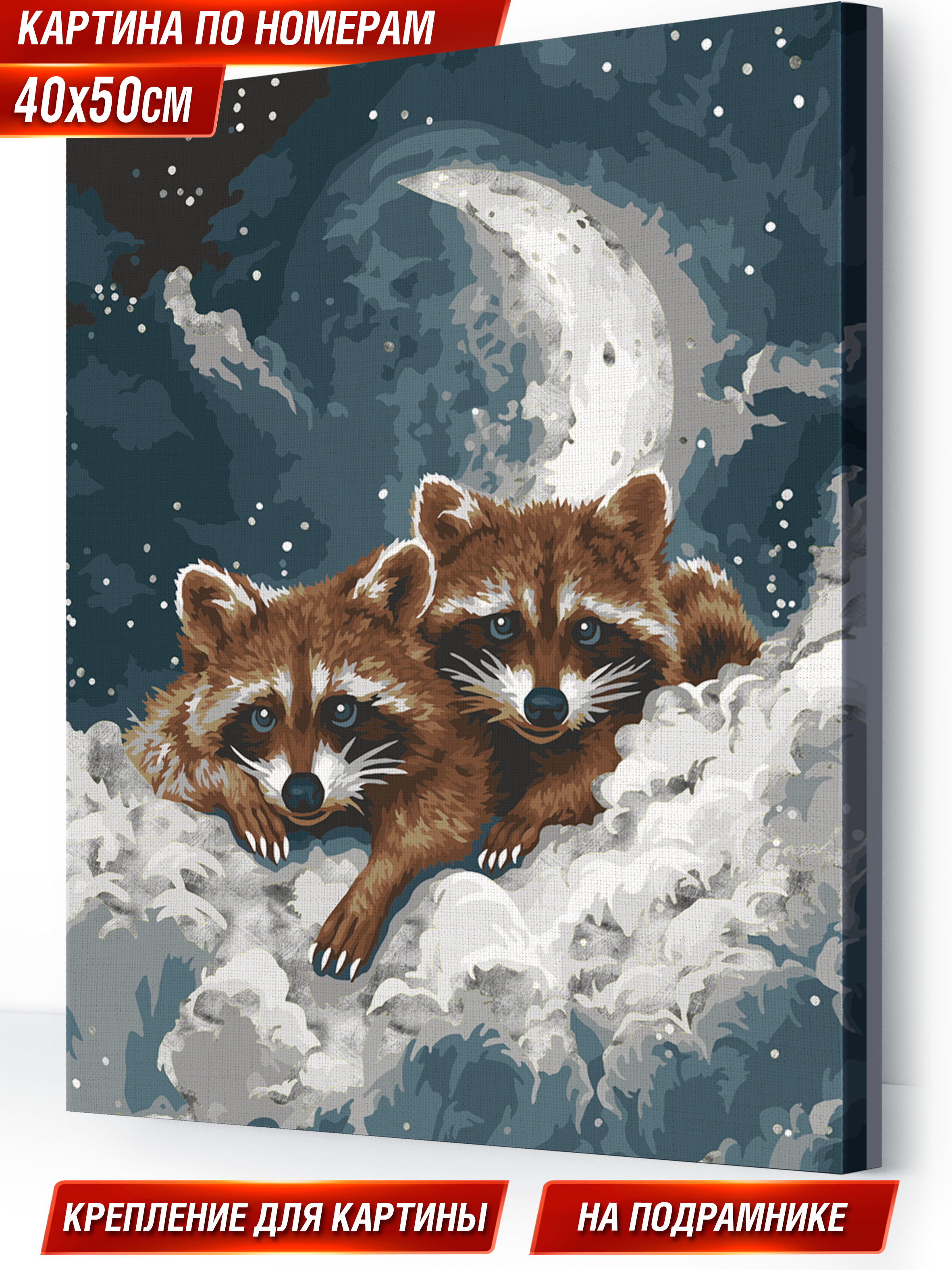 Картина по номерам Hobby Paint Еноты в ассортименте - фото 1