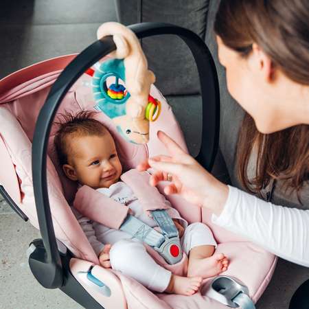 Игрушка Babyono подвеска Броненосец Arnold в ассортименте