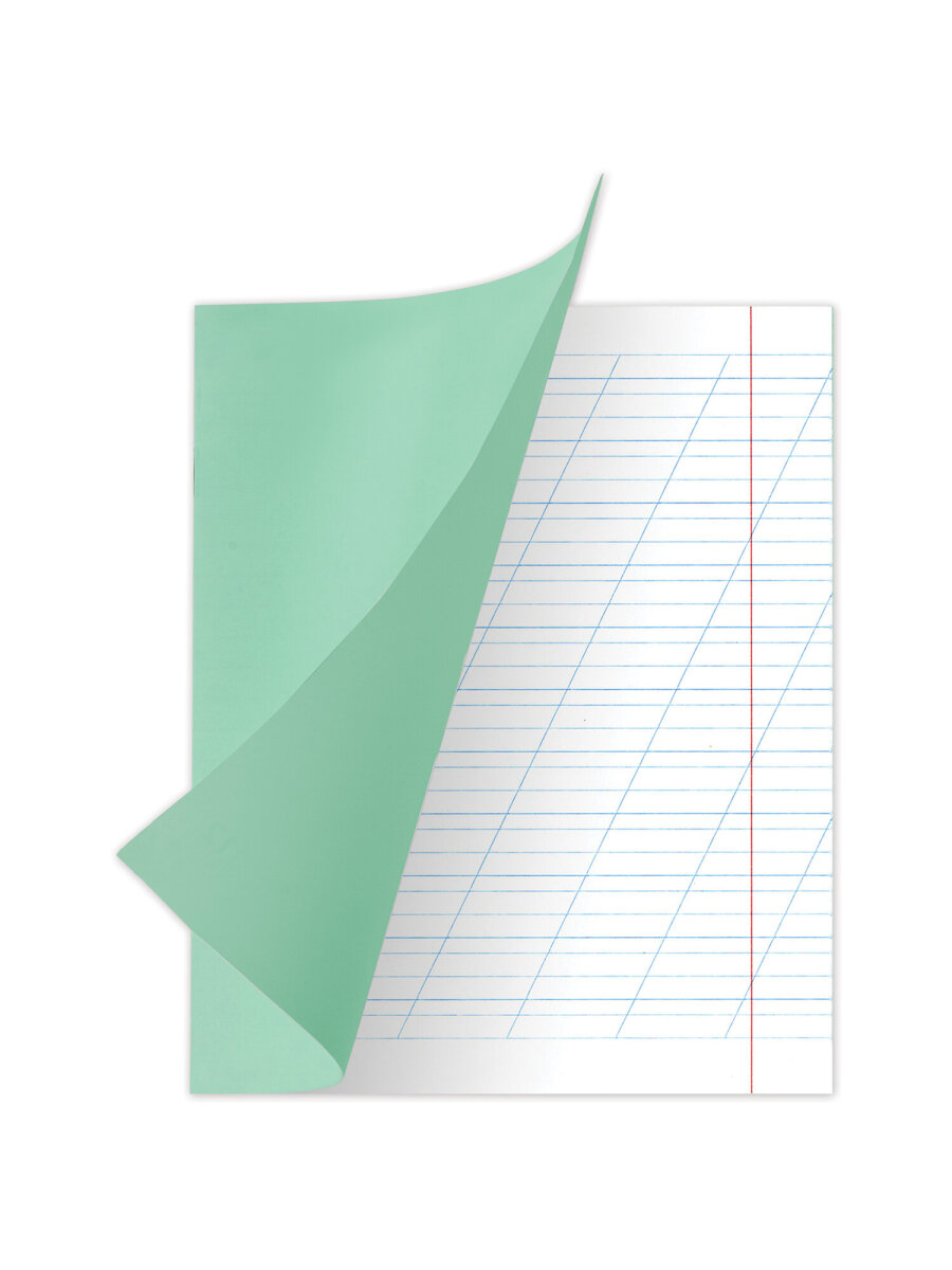 Тетрадь Brauberg косая линейка 12 лист. 20 шт. - фото 3