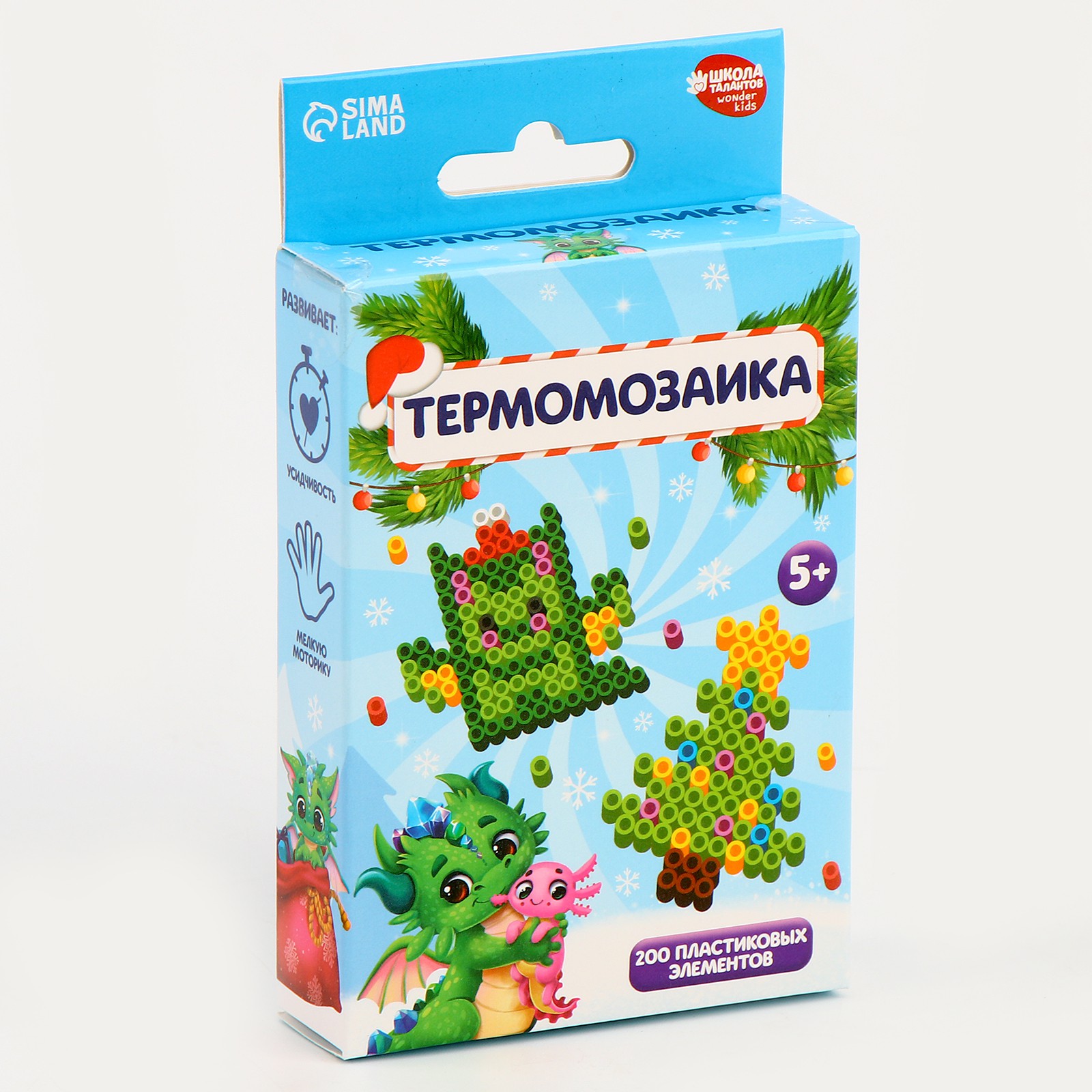 Термомозаика Школа Талантов - фото 4