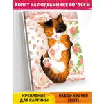 Картина по номерам Hobby Paint Мур-мур в ассортименте