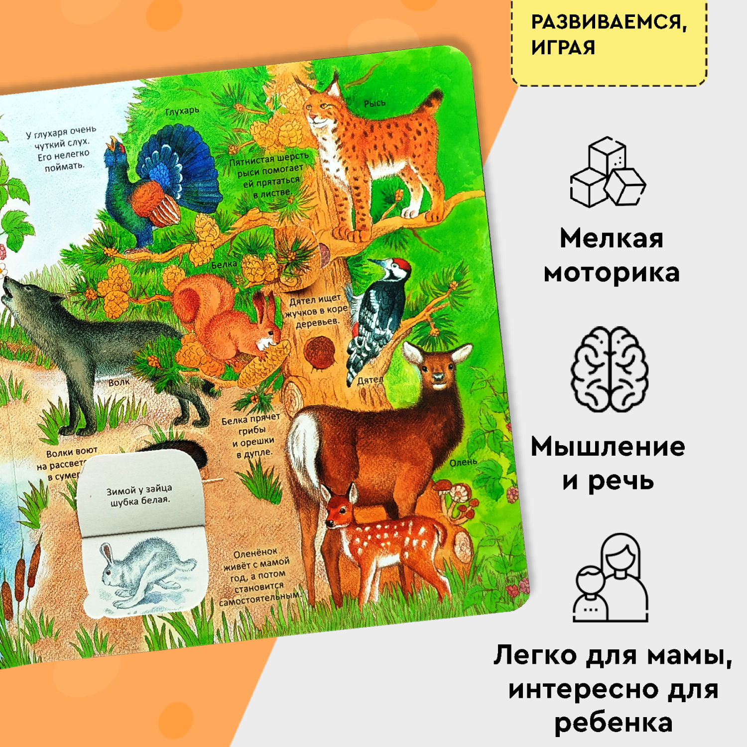 Книга Росмэн Удивительные животные Энциклопедия с окошками - фото 5