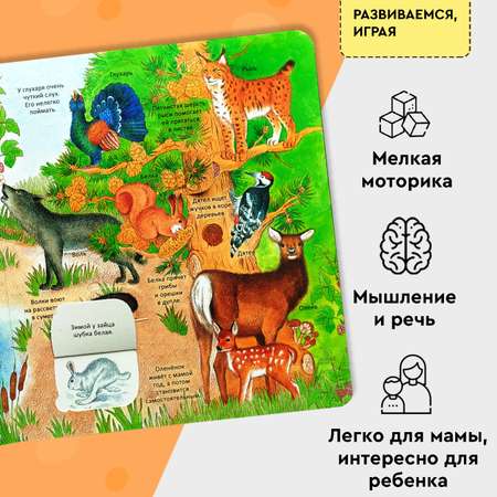 Книга Росмэн Удивительные животные Энциклопедия с окошками