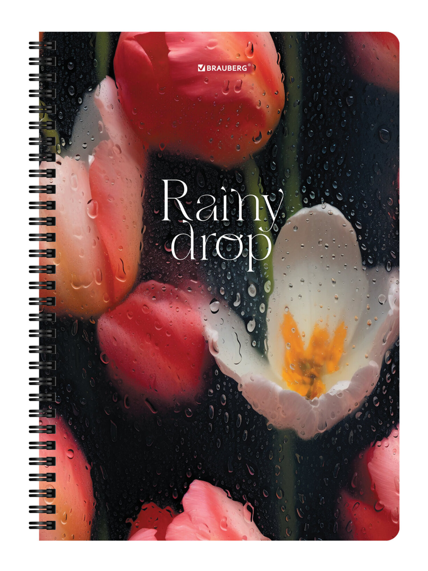 Общая тетрадь Brauberg клетка 96 лист. 2 шт. - фото 8