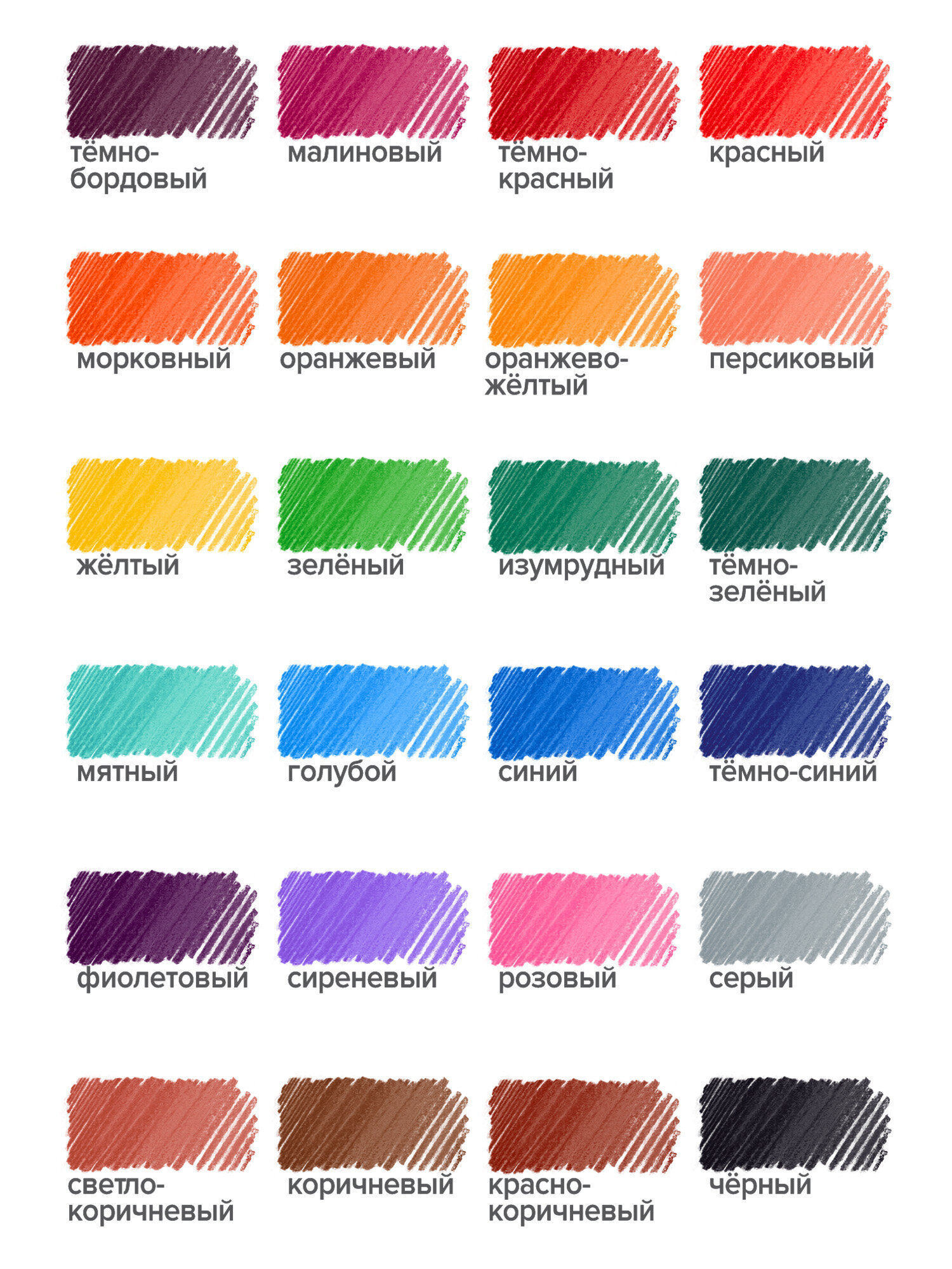 Карандаши цветные Brauberg 24 шт. - фото 2