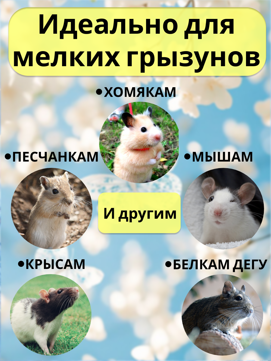 Гамак для грызунов PetiPet черный маленький 20х20 двухъярусный - фото 4