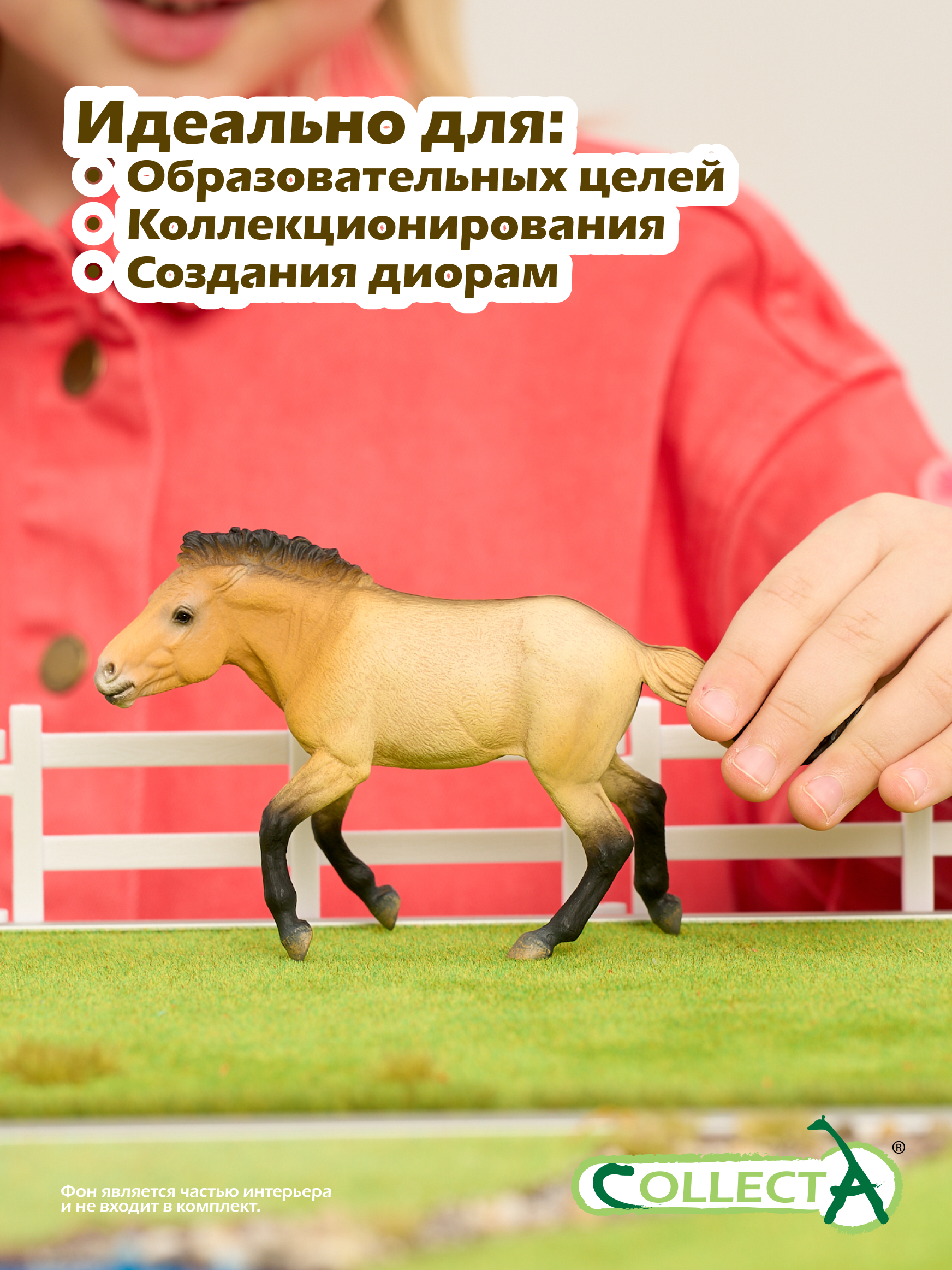 Игровой набор Collecta Жеребец Пржевальского - фото 6