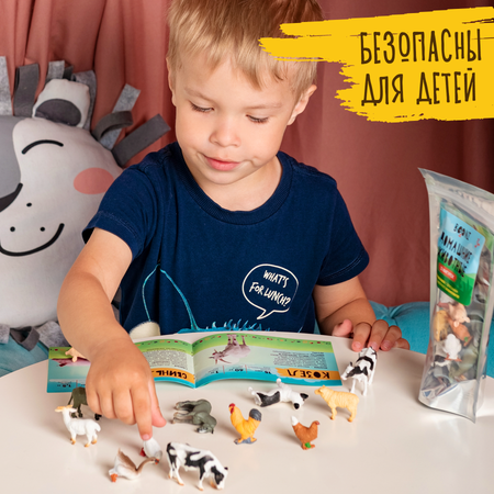 Игровой набор BOONI