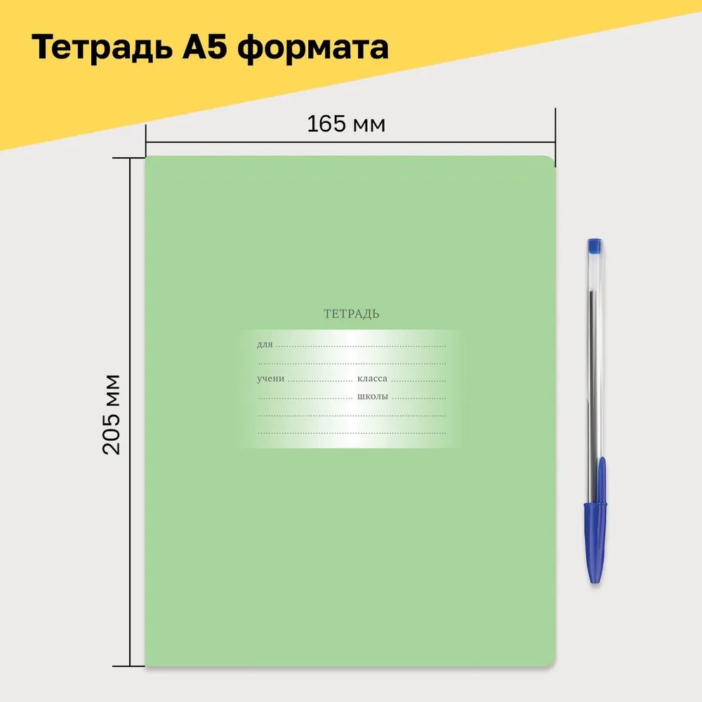 Тетрадь BG клетка 24 лист. - фото 3