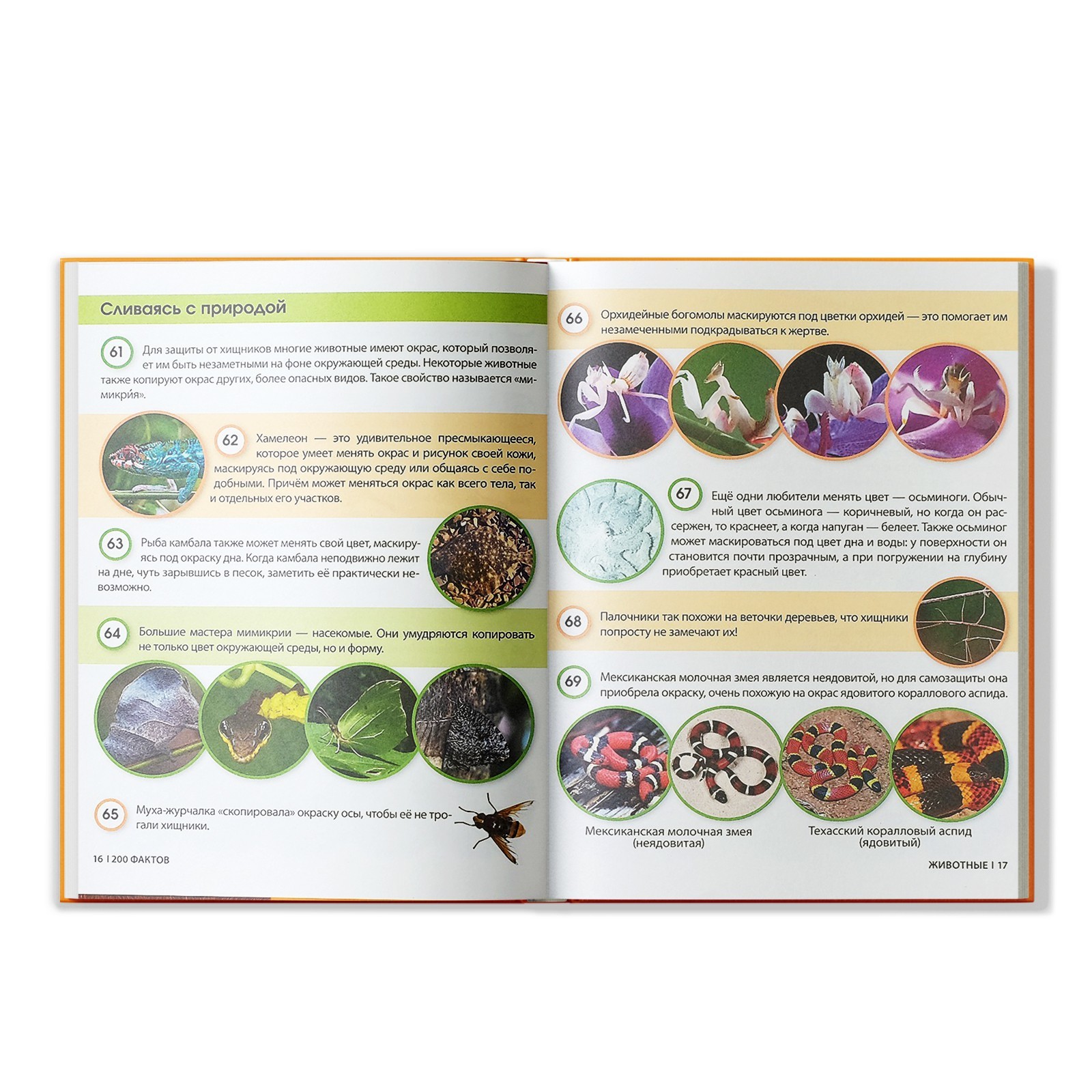 Энциклопедия Буква-ленд 200 фактов о животных 48 стр - фото 4