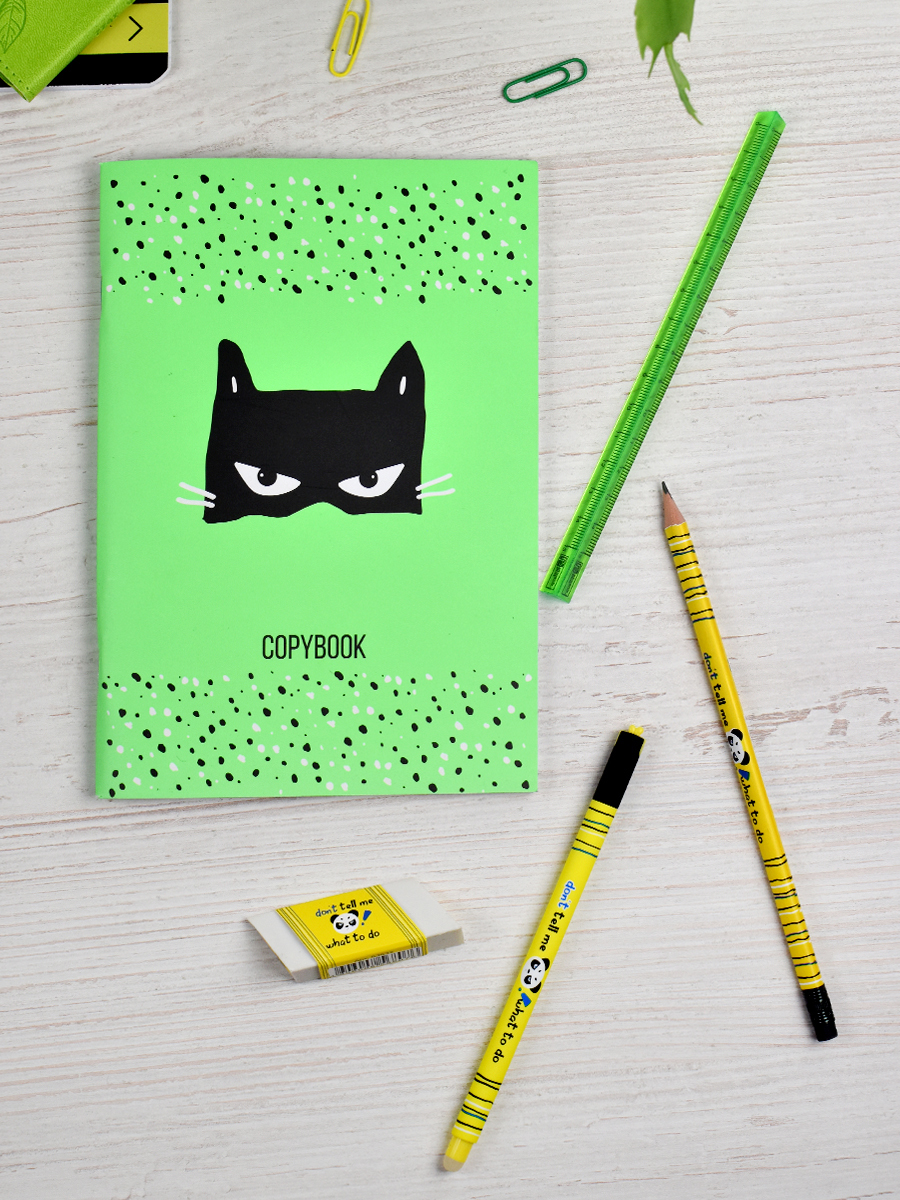 Набор канцелярский Феникс + 5 предм. - фото 3