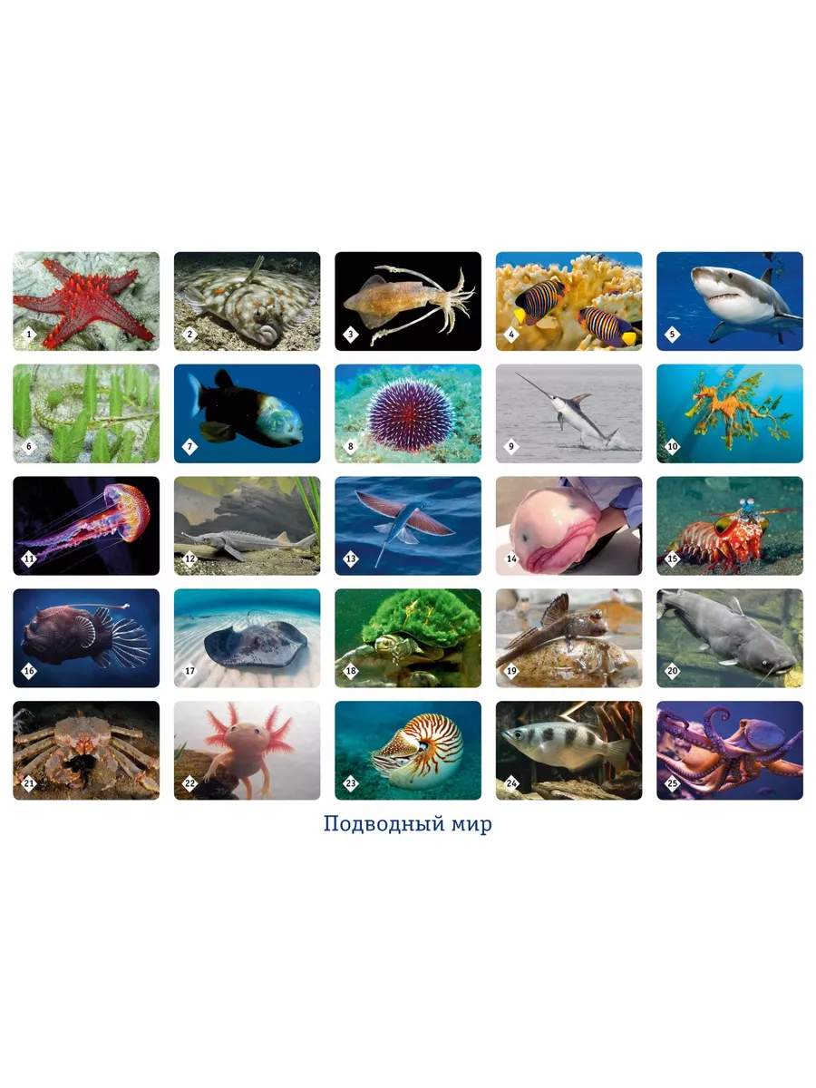 Настольная игра Нескучные игры - фото 2