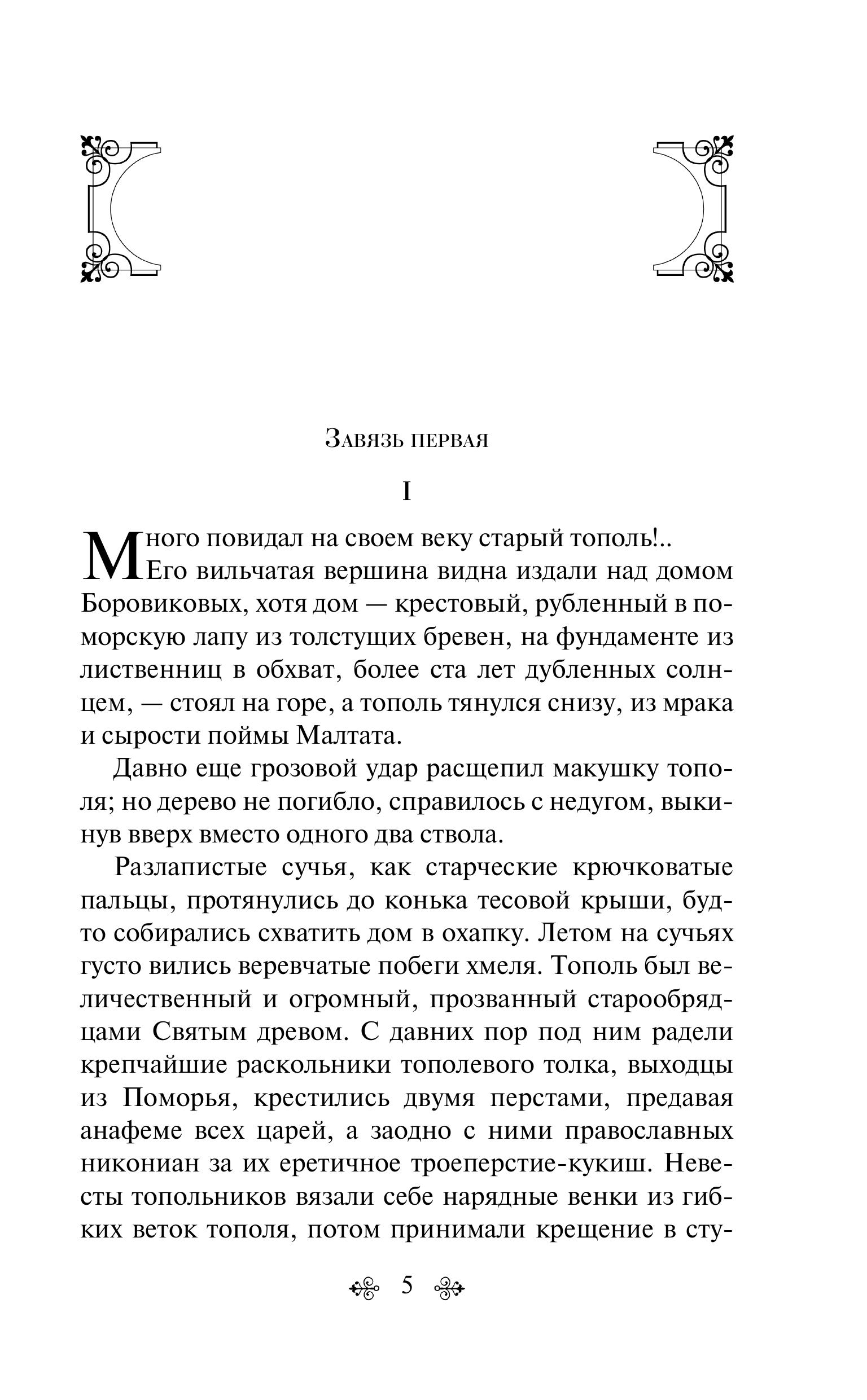 Книга Эксмо Черный тополь (крупный шрифт) - фото 2