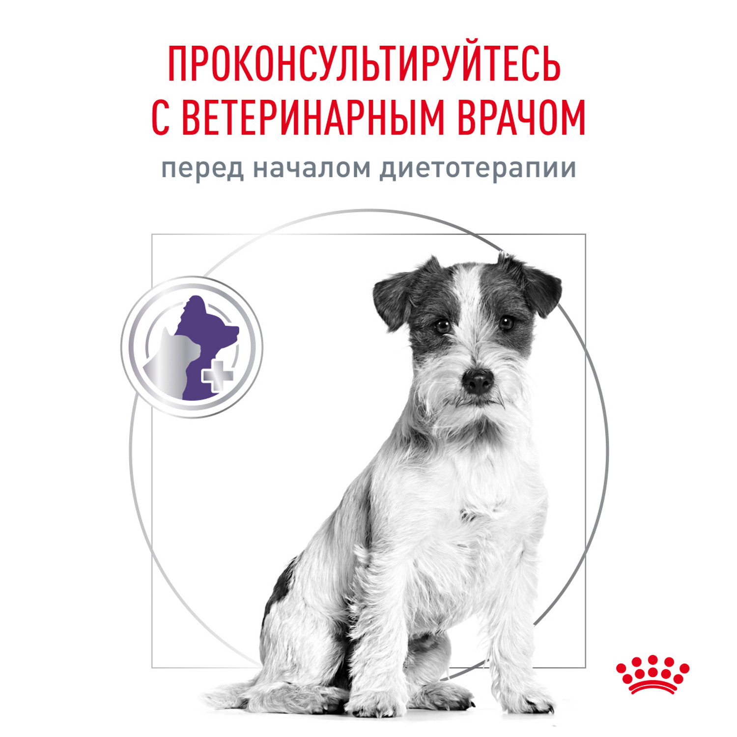 Корм для собак ROYAL CANIN Ньютрид Эдалт Смол Догз 0.8кг - фото 7