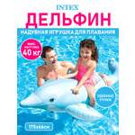 Матрас для плавания Intex Дельфин в бассейн размер 175х66 см