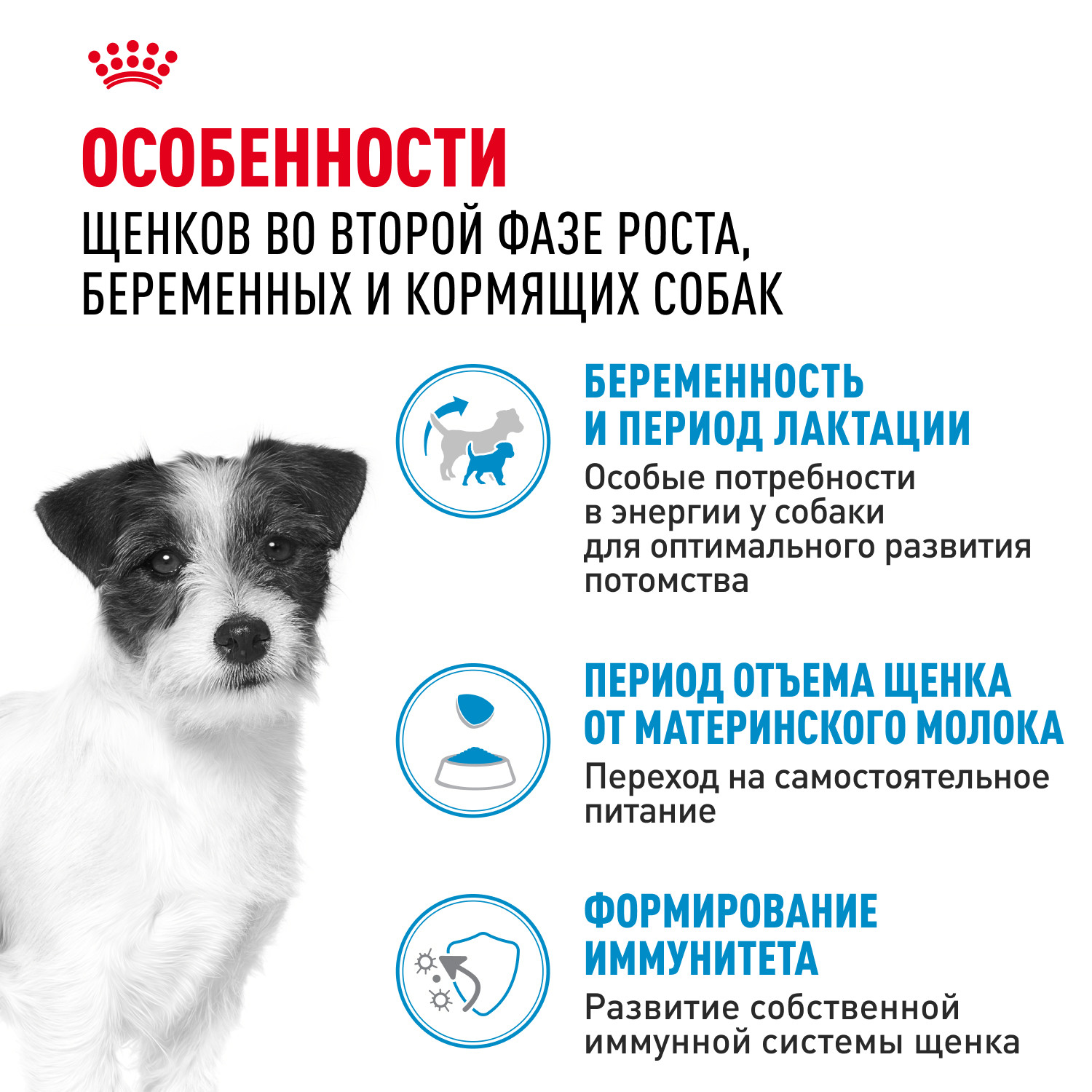 Корм для щенков ROYAL CANIN Starter мелких пород 1кг - фото 2